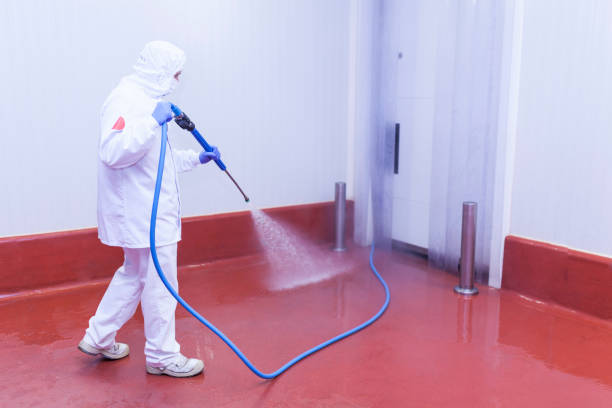 Best Boat and Dock Cleaning  in Paden City, WV