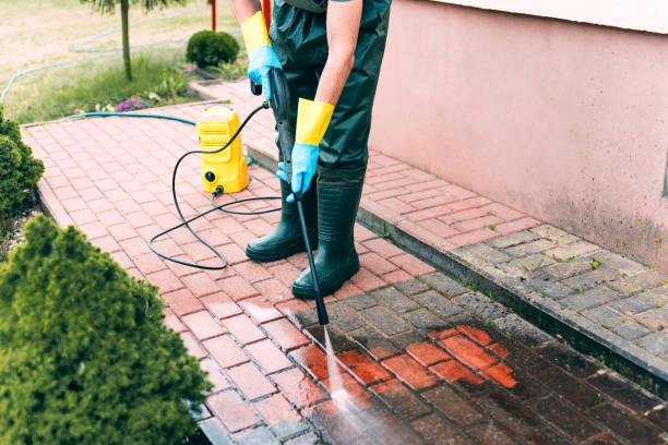 Best Residential House Exterior Washing  in Paden City, WV